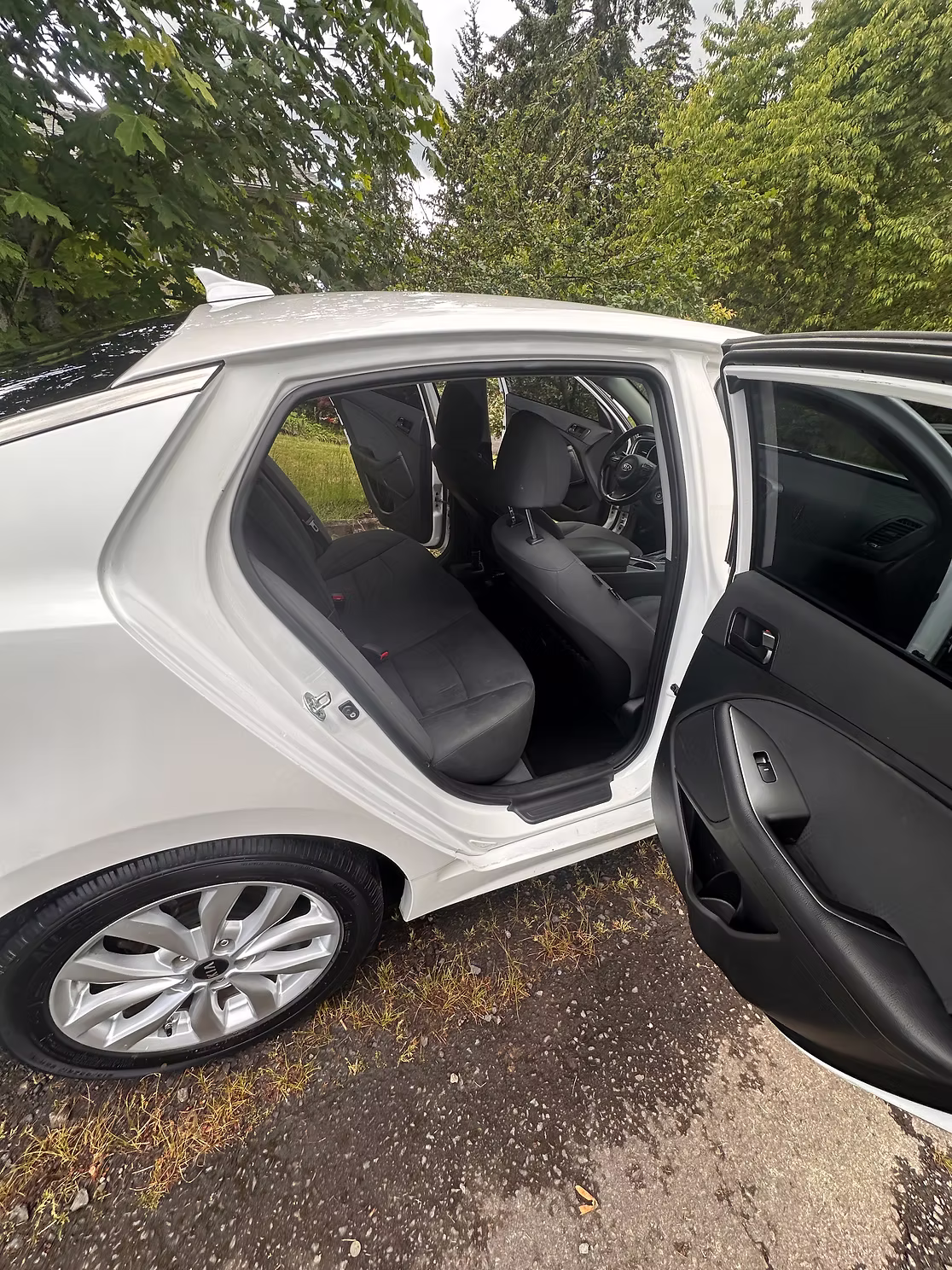 Door Jambs & Interior after detailing