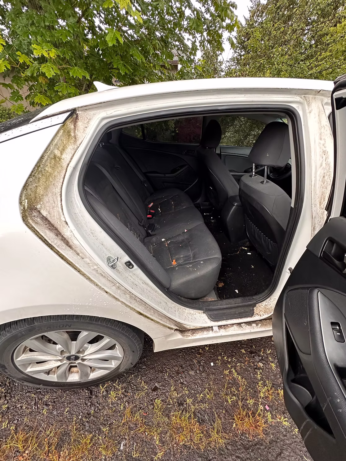 Door Jambs & Interior before detailing