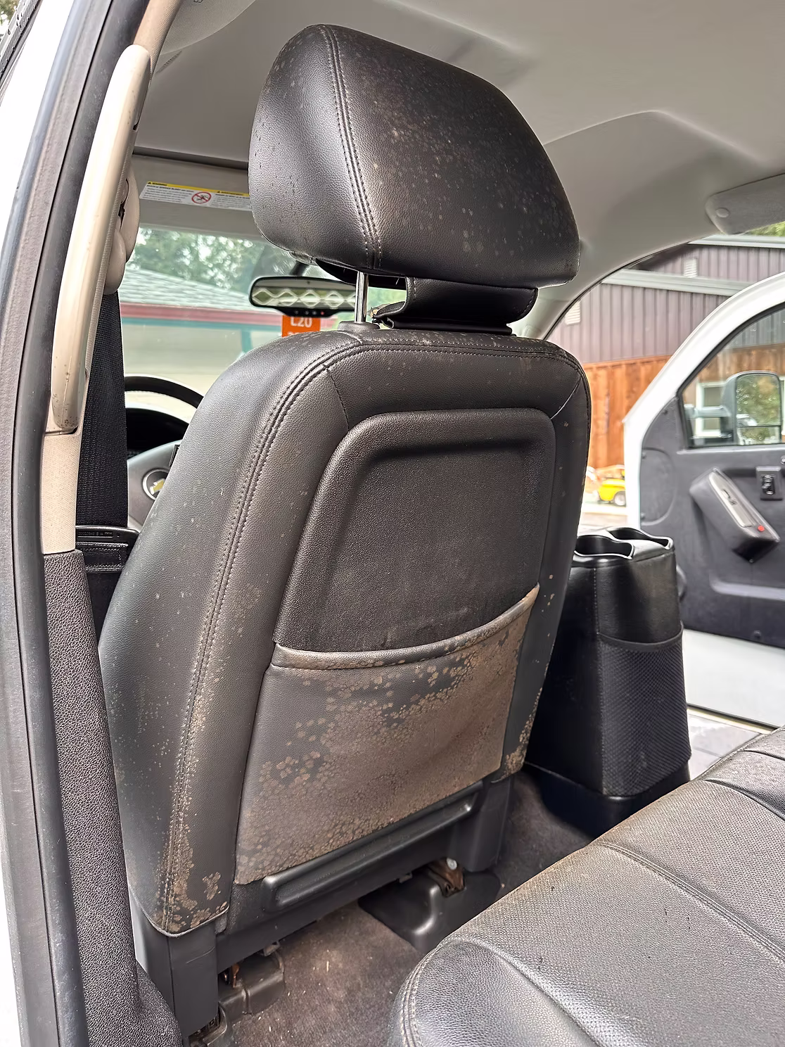 Leather Seat Cleaning before detailing