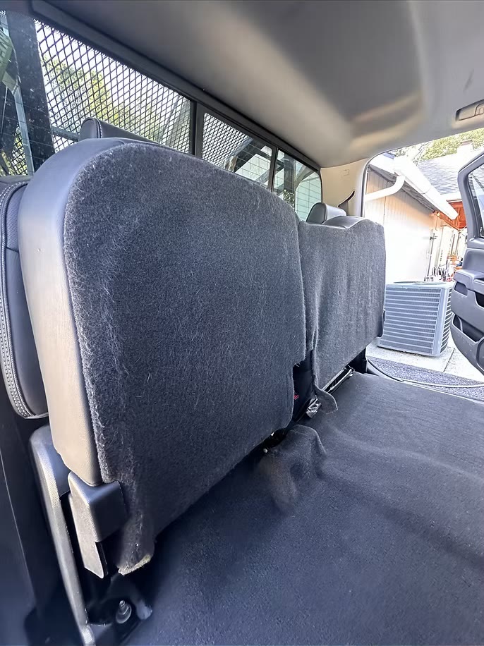 Hair Removal after detailing