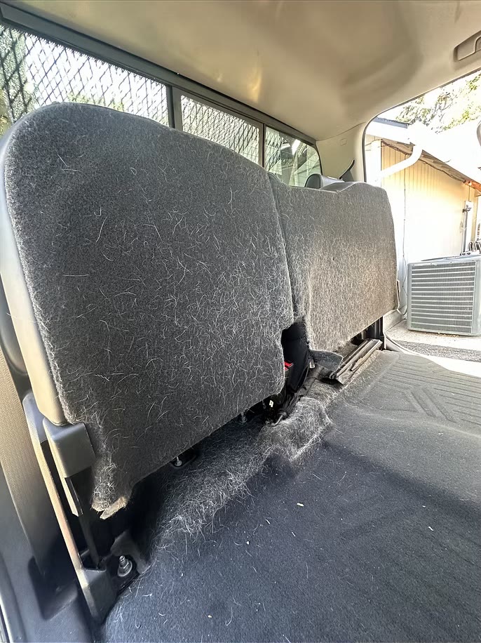 Hair Removal before detailing