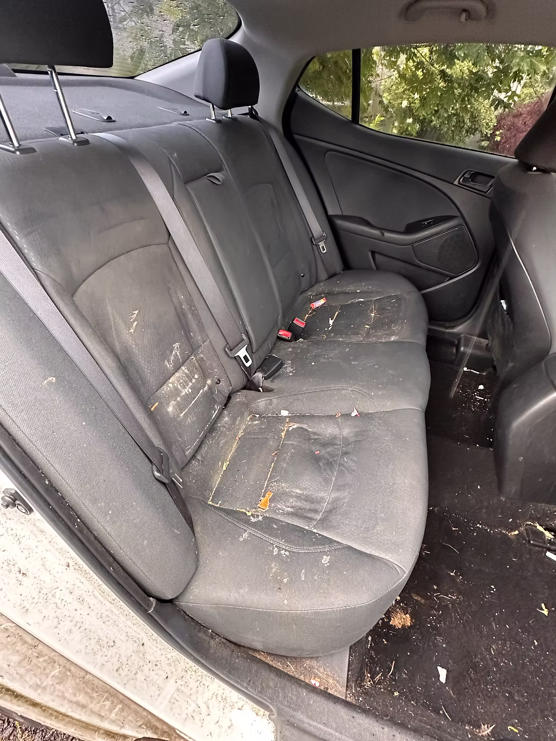 Rear Seat Deep Clean before detailing