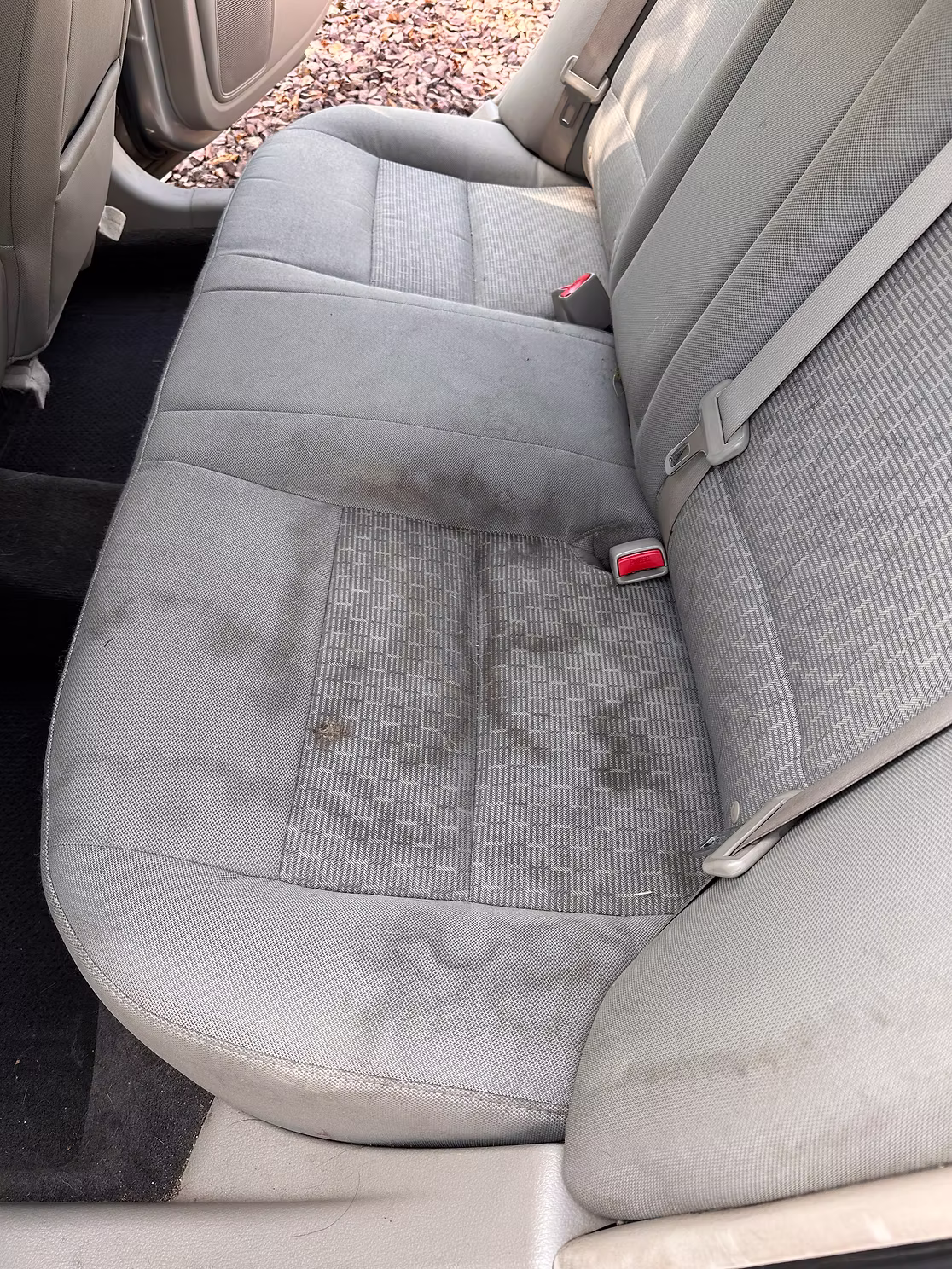 Seat Stain Removal before detailing